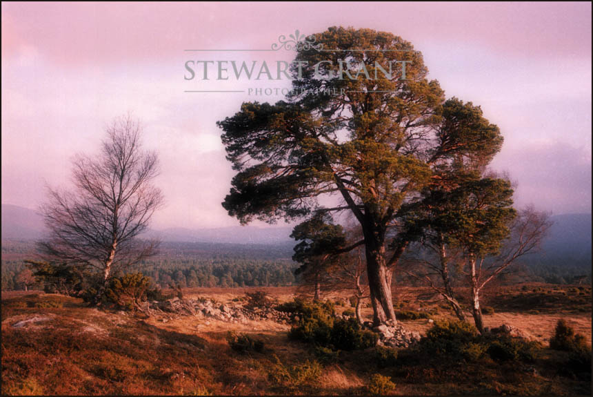 Rural and Urban Landscapes